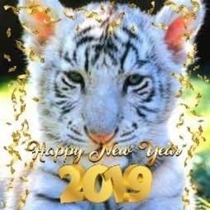 Meet your Posher, Johnna